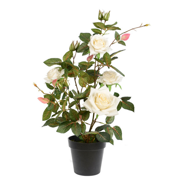 Primrue 21" Artificial Rose Plant in Pot Wayfair